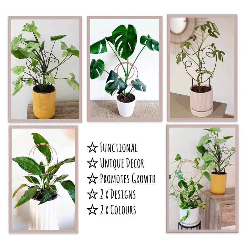 Puede incluir: Un conjunto de dos soportes para plantas, uno con un dise&ntilde;o circular y el otro con un dise&ntilde;o de cara. Los soportes son de metal y est&aacute;n disponibles en dos colores. Los soportes se muestran con varias plantas, incluyendo una monstera, una lirio de la paz y un pothos.