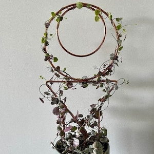 Puede incluir: Un colgador de plantas de alambre de cobre con dos aros circulares y una base triangular. El colgador est&aacute; decorado con una vid trepadora con hojas verdes y moradas.