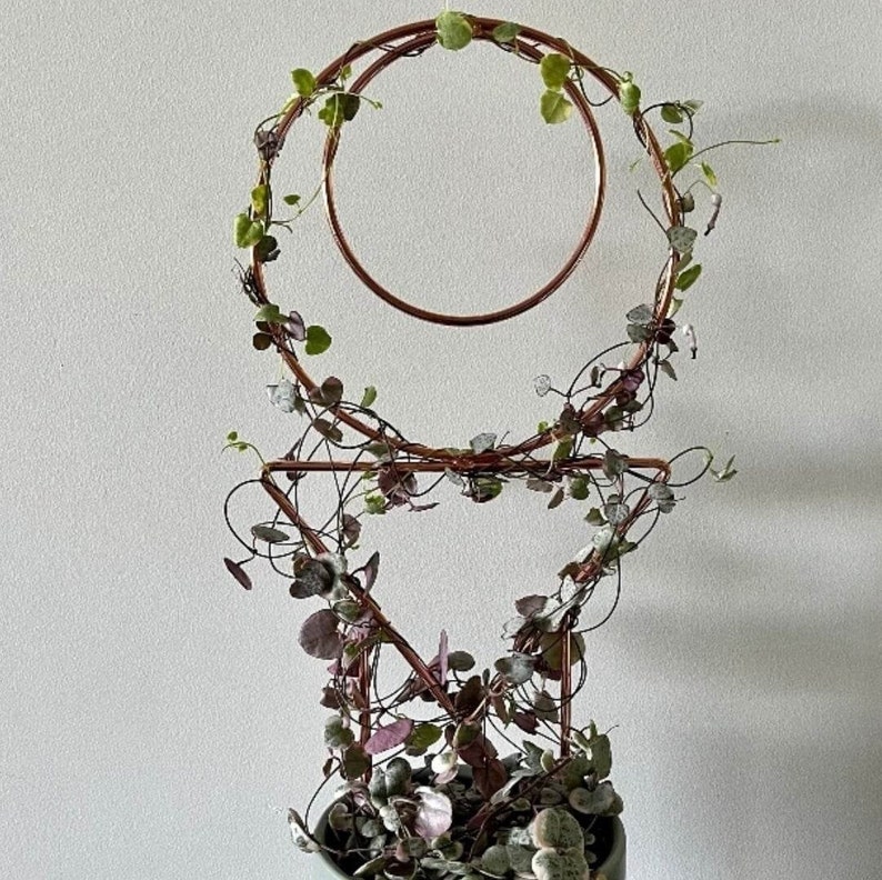 Puede incluir: Un colgador de plantas de alambre de cobre con dos aros circulares y una base triangular. El colgador est&aacute; decorado con una vid trepadora con hojas verdes y moradas.