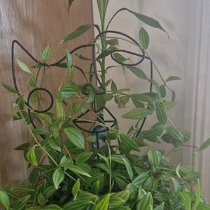 Estaca decorativa para plantas: enrejado de hierro con recubrimiento en polvo para plantas de interior imagen 2