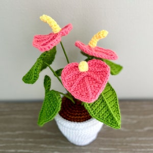 Valentine's Pink Anthurium, Crochet Plant Pattern, Crochet Anthurium Flower, Crochet Flower Home Decor, Amigurumi Flower, Crochet Gifts