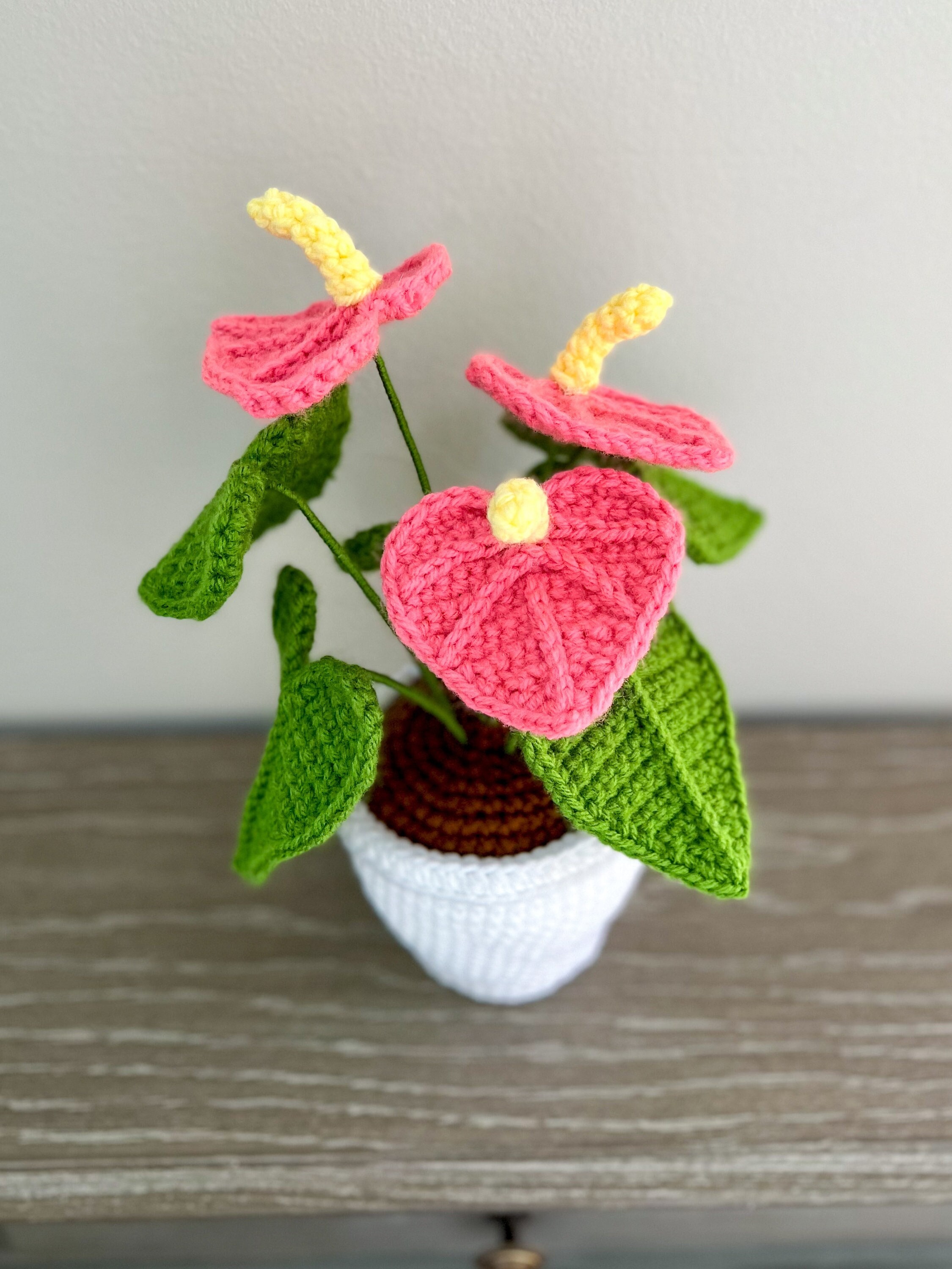 Crochet Pink Anthurium Pattern: Valentine's Flower Decor (PDF