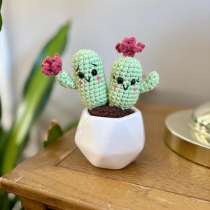 May include: Two crocheted cactus plants with pink flowers in a white geometric pot. The cactus plants have smiling faces and black eyes.