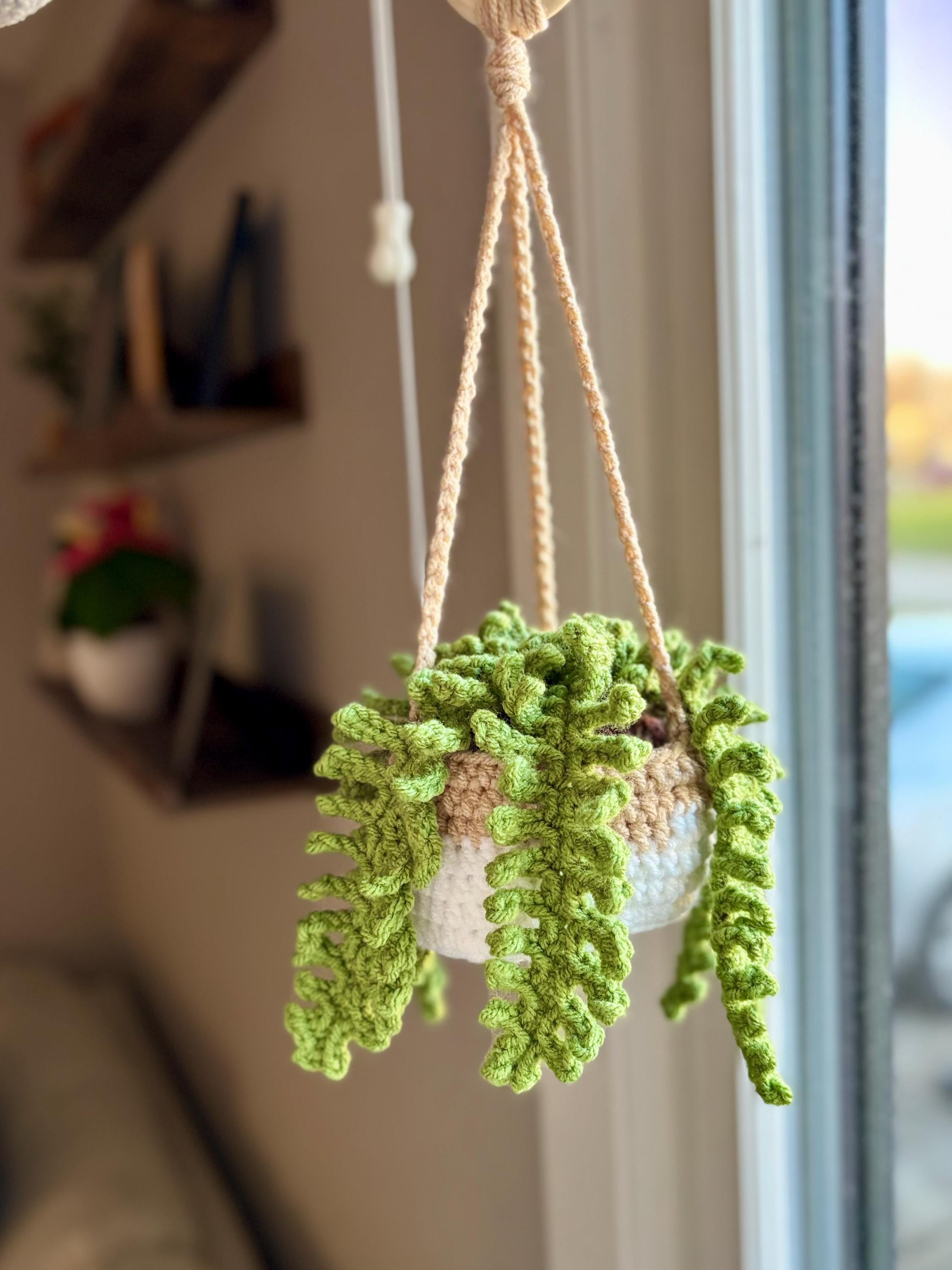Hngende farn - Etsy.de