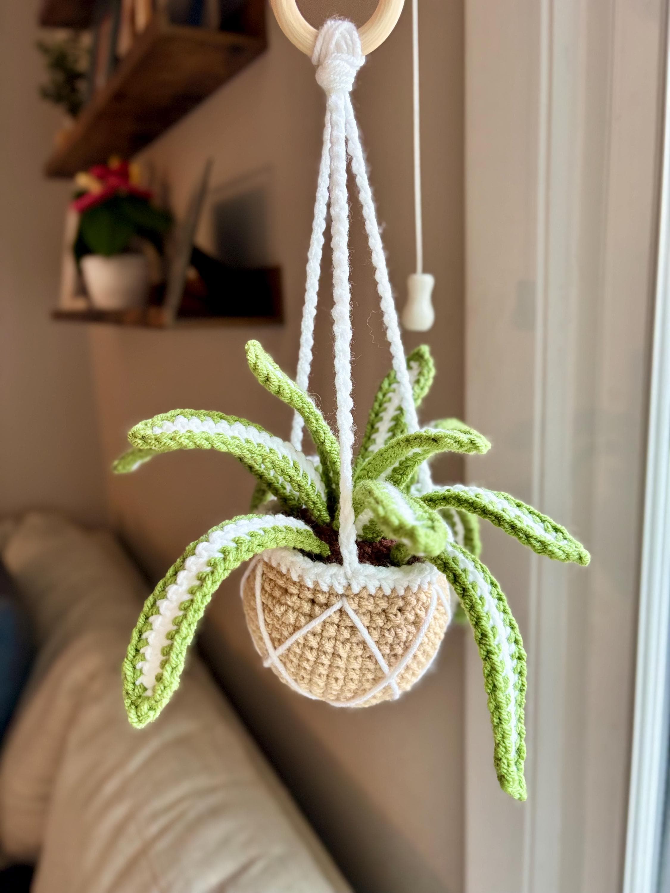 Pattern: Spider Hanging Plant Crochet