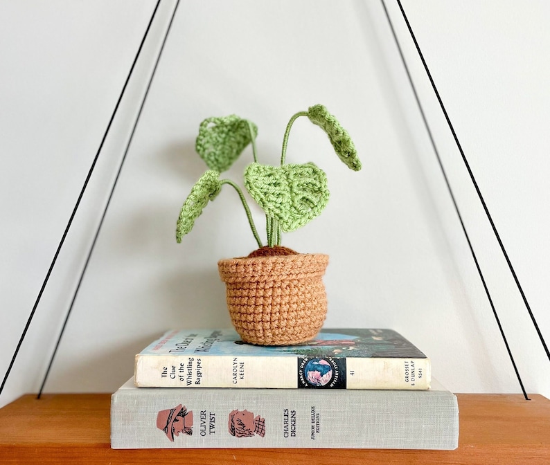 May include: A crocheted plant in a brown pot sits on a shelf with two books. The books are "The Clue of the Whistling Bagpipes" and "Oliver Twist".