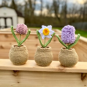 PATTERN: Spring Flowers Collection, Crochet Potted Flowers, Crochet Flowers, Crochet Plant Pattern, Crochet Patterns for Decor, Amigurumi