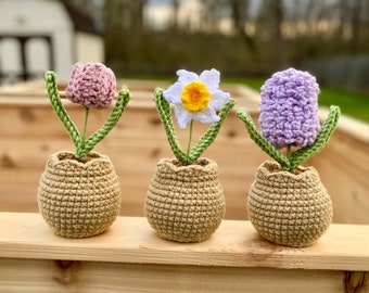 Spring Flowers Collection Crochet Pattern, Crochet Potted Flowers, Crochet Flowers, Crochet Plant Pattern, Crochet Patterns for Home Decor