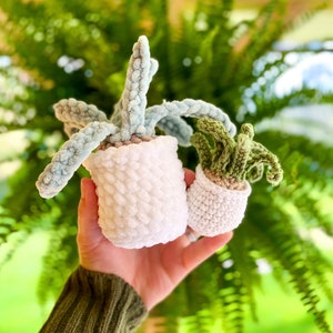 May include: Two crocheted succulent plants in white pots. One plant is light blue, the other is green. The pots are white and have a textured appearance. The background is a blurred view of green foliage.