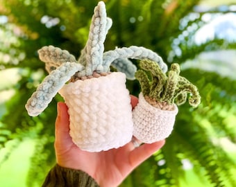 PATTERN: No-Sew Mini Leafy Plant Crochet Pattern, No-Sew Crochet Pattern, Crochet Plant, Crochet Market Make, Crochet Patterns Amigurumi