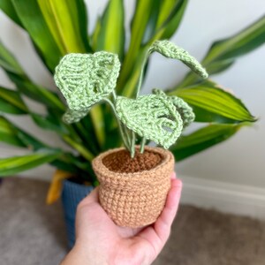 May include: A crocheted potted plant with green leaves in a brown pot. The plant is being held in a person's hand.