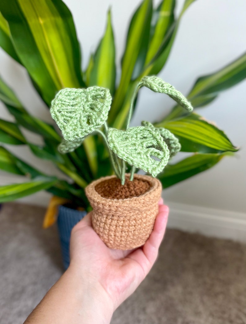 May include: A crocheted potted plant with green leaves in a brown pot. The plant is being held in a person's hand.