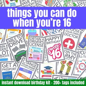 Étiquettes-cadeaux pour 16e anniversaire, Activités à faire à 16 ans, Ensemble de soins pour l'anniversaire d'un ami, fille, Fils, Bannière de panneaux pour kit de fête d'anniversaire 16e anniversaire