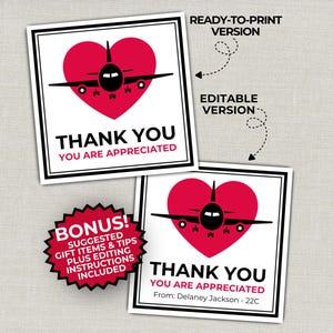 May include: Two square cards with a black border. Each card features a red heart with a black airplane silhouette. The text "THANK YOU YOU ARE APPRECIATED" is printed in black. One card includes the text "From: Delaney Jackson - 22C".