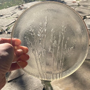 Vintage Art Glass Plate, Embossed Wild Wheat Grasses Swedish, Kosta Boda? Finnish Humppila?Collectible Scandinavian Design Small Glass Dish