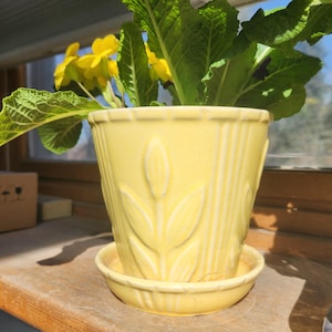 Pode incluir: Um vaso de flores de cerâmica amarela com um pires a condizer, com um desenho de folhas. O vaso está cheio de plantas verdes e flores amarelas. O vaso está sobre uma superfície de madeira perto de uma janela.