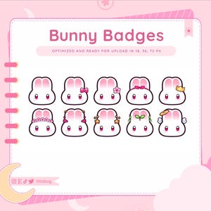 Bunny Rabbit Badges (10 Pack) for Twitch, YouTube, Discord | Cheap Stream Sub or Bit Badges