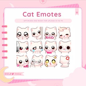 Può includere: Un set di 12 emoticon di gatto rosa e bianco con diverse espressioni, tra cui cuori, un coltello e un cartello che dice "RAID".