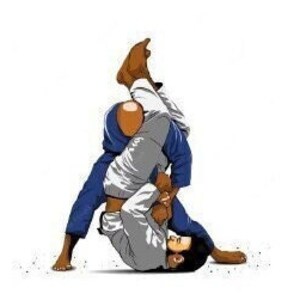 eBook From White Belt to Blue Belt.  A Beginner&#39;s Journey in Brazilian Jiu Jitsu