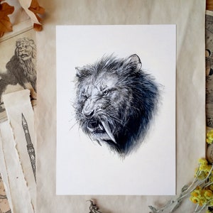 Sabertooth Tiger Art Print - Prehistoric Wildlife Illustration - Smilodon Wall Art - Paleoart Artwork - Inktober Art - Ink Drawing Print