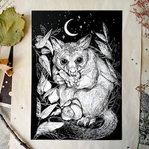 Australian Possum Art Print, Common Brushtail Possum, Wildlife Decor, Native Australian Animal Illustration, Marsupial Wall Art, Ink Drawing