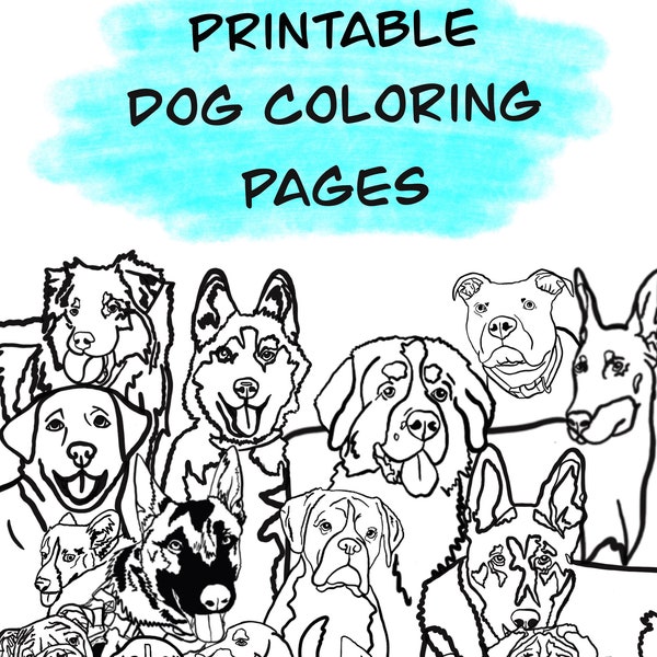5 Downloadable dog coloring pages, pitbull coloring pages, Bernese, mountain dog coloring page, chihuahua coloring page, pug, Doberman pages