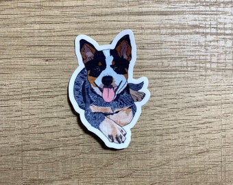 Australian cattle dog, waterproof vinyl sticker, cattle dog sticker, water bottle sticker, laptop sticker, cattle dog, Heeler sticker, dog