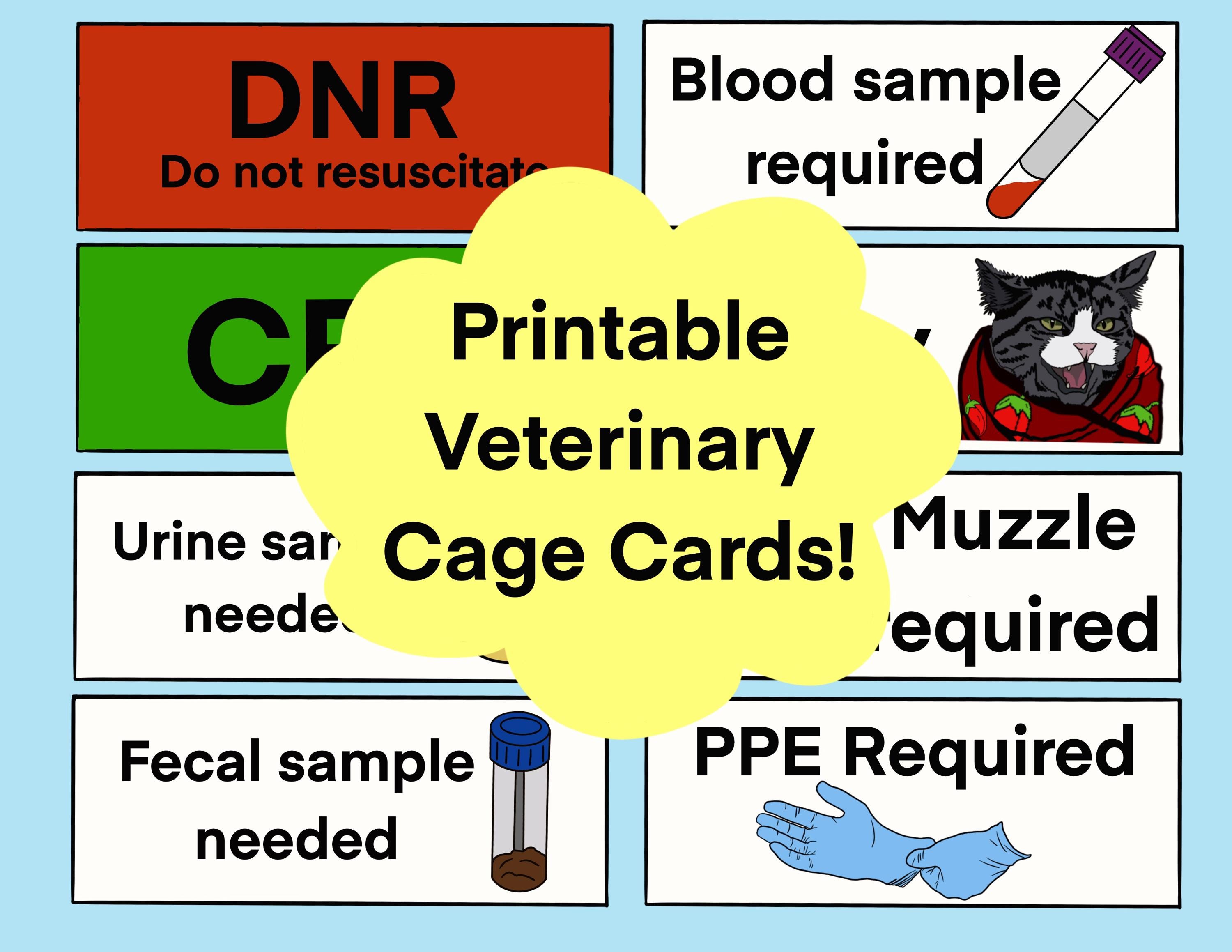 Veterinary Cage Cards Printable, Digital Download Vet Cage Cards, Vet ...