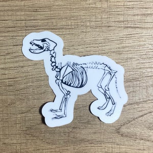 Spooky dog skeleton Halloween sticker, halloween sticker, laptop sticker, water bottle sticker, waterproof sticker, Halloween dog sticker