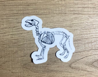 May include: A black and white line drawing of a dog skeleton. The dog is standing on all fours and has its head tilted to the side. The drawing is on a white background.