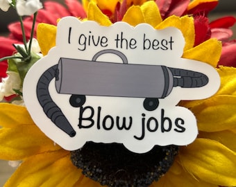 Dog grooming blow dry sticker, groomer sticker, waterproof vinyl sticker, water bottle sticker, dog groomer gift, dog groomer profession