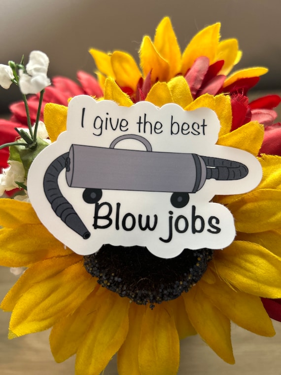 Dog grooming blow dry sticker, groomer sticker, waterproof vinyl sticker, water bottle sticker, dog groomer gift, dog groomer profession