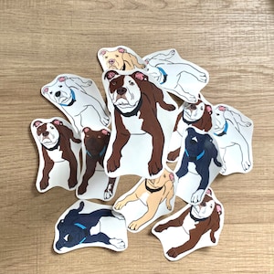 Pit bull waterproof sticker, vinyl water bottle sticker, laptop sticker. Water bottle Pitbull sticker, pitbull mom, pitbull dad, waterproof