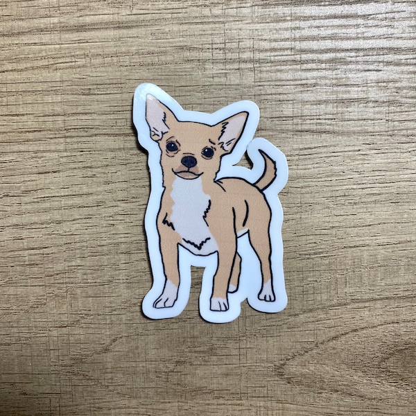 Chihuahua water resistant sticker,  chihuahua gifts, laptop sticker, water bottle sticker, chihuahua breed sticker, chihuahua sticker