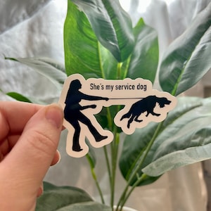 May include: A white sticker with a black silhouette of a person walking a dog. The text "She's my service dog" is printed on the sticker.