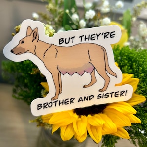 Funny vet med sticker, veterinary sticker, vet tech gift, vet gifts, vet med sticker, waterproof sticker, veterinary gift, funny sticker