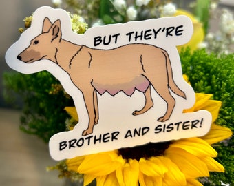 Funny vet med sticker, veterinary sticker, vet tech gift, vet gifts, vet med sticker, waterproof sticker, veterinary gift, funny sticker