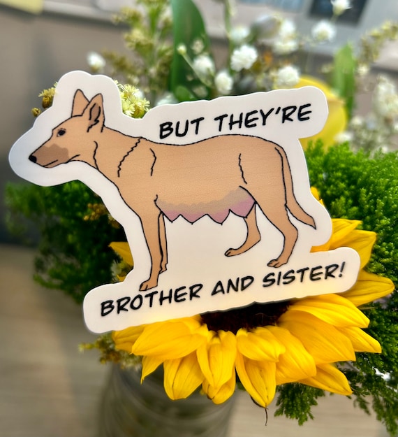Funny vet med sticker, veterinary sticker, vet tech gift, vet gifts, vet med sticker, waterproof sticker, veterinary gift, funny sticker