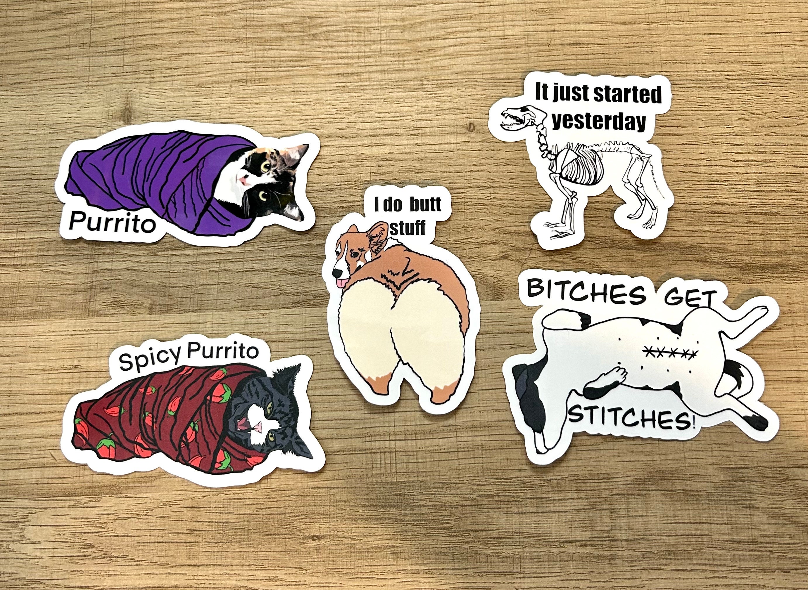 Funny Veterinary sticker pack #1, gifts for vet tech week, vet tech week 2024, vet assistant week, veterinary sticker pack, vet med birthday
