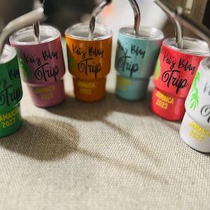 Insulated 3oz Mini Shot Tumblers w/straw and lid for Birthday, Travel, Party Favors, Graduations, Wedding, Cruises, Valentine's, St. Patty's