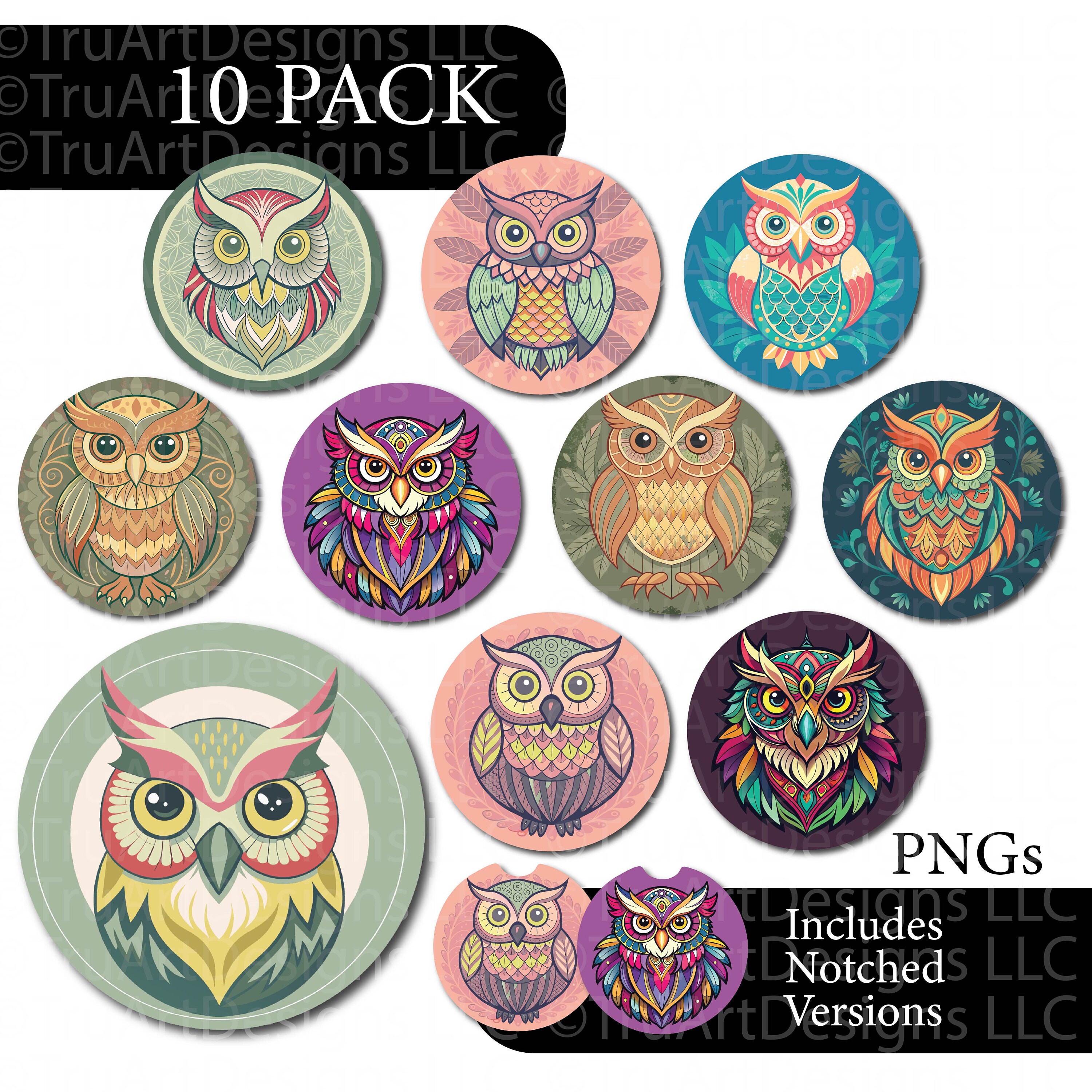 Car Coaster Sublimation Design bundle Owl coaster png Birds Illustrated colorful feather owls Sublimation Bundle keychain air freshener png