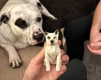 Anpassad tårtdekoration för husdjur: Polymer Clay Hund, Bröllop, Födelsedag