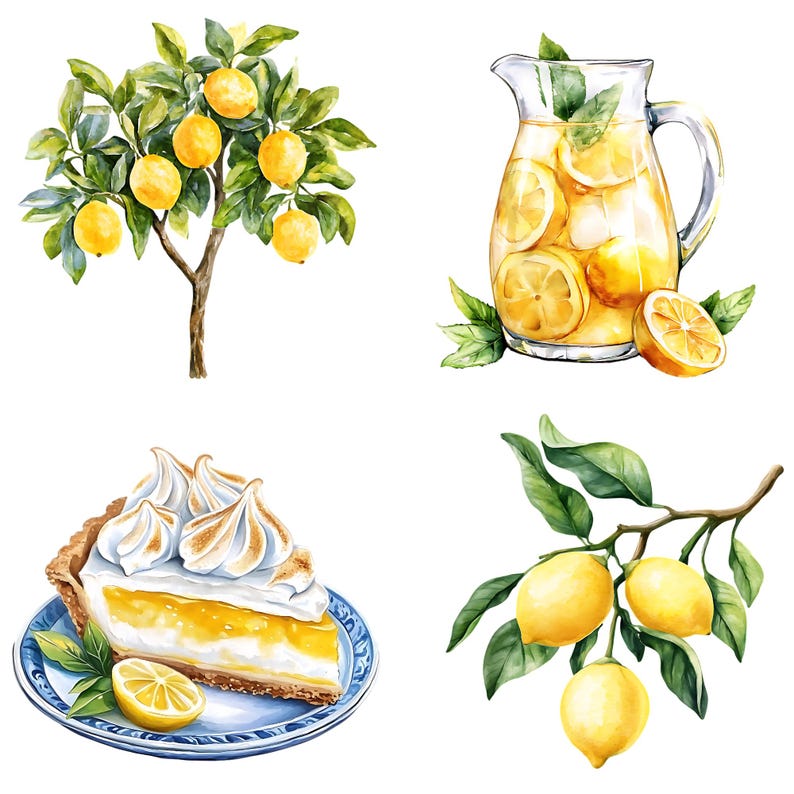 Puede incluir: Una ilustraci&oacute;n de acuarela de un limonero, una jarra de limonada, una porci&oacute;n de pastel de merengue de lim&oacute;n y una rama de limones. Los limones son amarillos y las hojas son verdes.