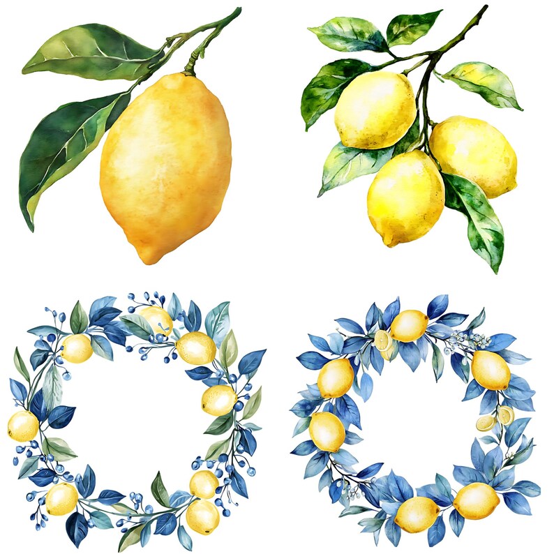Puede incluir: Cuatro ilustraciones de acuarela con limones y ramas frondosas. Dos ilustraciones muestran limones en ramas con hojas verdes. Las otras dos ilustraciones muestran coronas de hojas azules y verdes con limones intercalados.