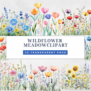 20 cliparts aquarelle prairie de fleurs sauvages PNG, Nature florale d'été, tournesol, tulipes, graphiques de fleurs sauvages, usage Commercial