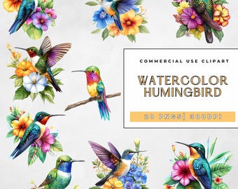 Hummingbird PNG, Colorful Bird with Flowers Clipart Sublimation, Watercolor Floral Hummingbird, Nature Wildlife, Commercial Use