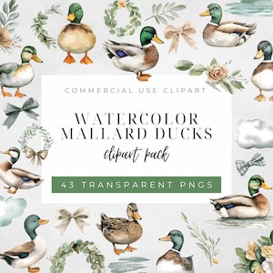 Pacote de clipart de pato-real em aquarela, gráficos PNG neutros para chá de bebê, caça ao pato, download instantâneo, uso comercial