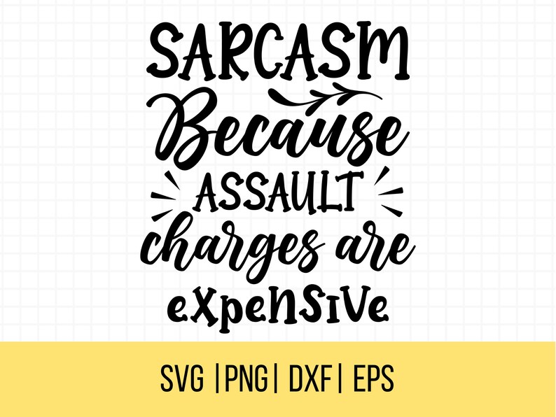 Sarcasme SVG, SVG sarcastique drôle, sarcasme parce que les accusations de voies de fait sont chères SVG, Snarky Svg, image 1