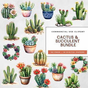 Bundle PNG de cliparts cactus et succulentes et 10 papiers bonus, illustrations de cactus aquarelles, plantes en pot, usage commercial