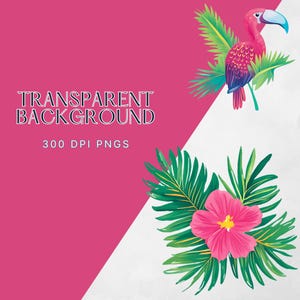 May include: Tropical clip art featuring a pink bird with a long beak, green palm leaves, and a pink hibiscus flower.  The image has a white background with the text "TRANSPARENT BACKGROUND 300 DPI PNGS".